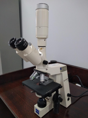 Microscópio Zeiss® Axiostar Plus